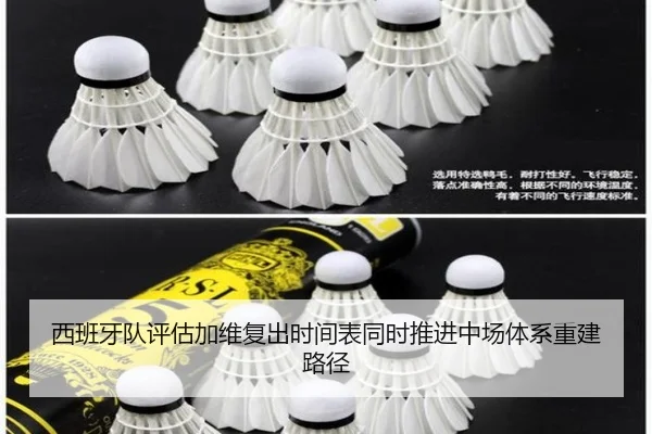 西班牙队评估加维复出时间表同时推进中场体系重建路径